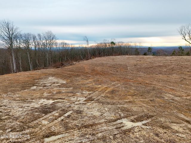 Laurel Bluff Rd, Kingston, TN 37763