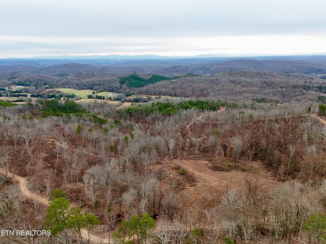 Laurel Bluff Rd, Kingston, TN 37763
