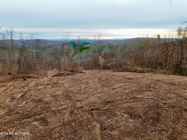 Laurel Bluff Rd, Kingston, TN 37763
