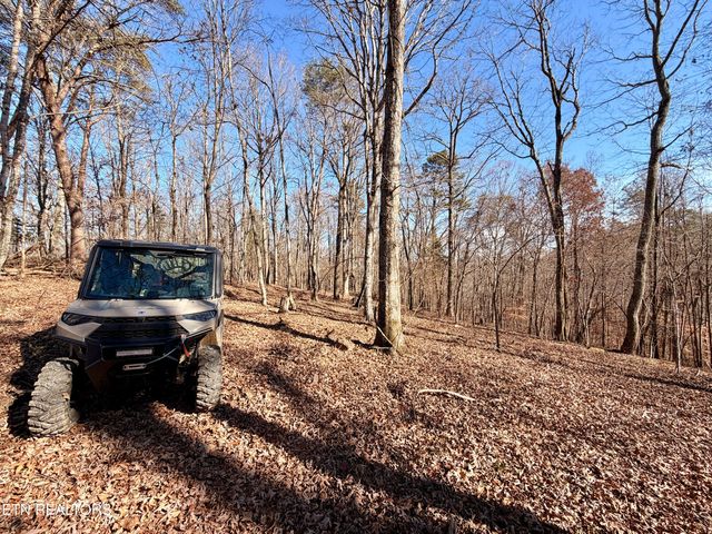 Laurel Bluff Rd, Kingston, TN 37763