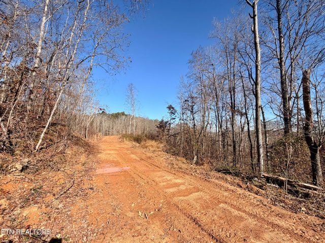 Laurel Bluff Rd, Kingston, TN 37763