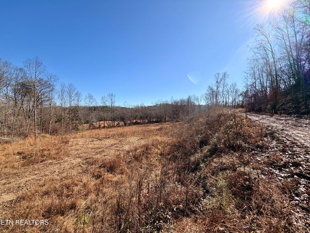 Laurel Bluff Rd, Kingston, TN 37763