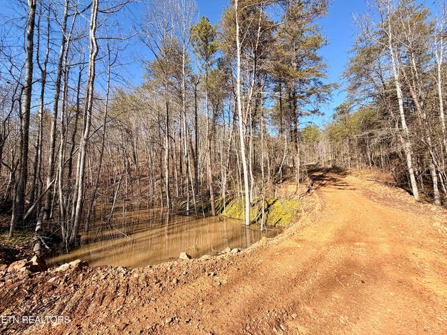 Laurel Bluff Rd, Kingston, TN 37763