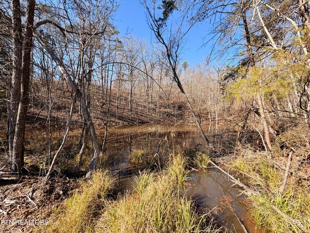 Laurel Bluff Rd, Kingston, TN 37763