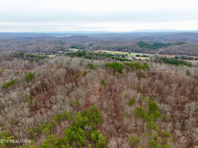 Laurel Bluff Rd, Kingston, TN 37763