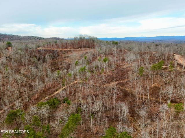 Laurel Bluff Rd, Kingston, TN 37763