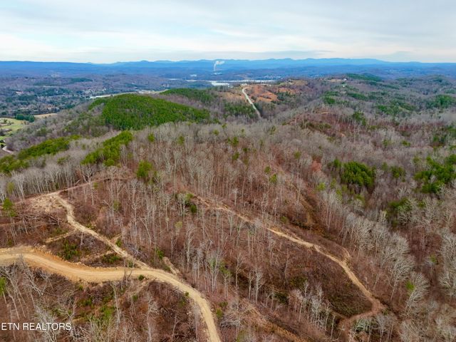 Laurel Bluff Rd, Kingston, TN 37763