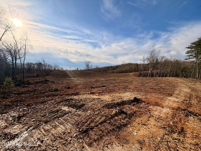 Laurel Bluff Rd, Kingston, TN 37763