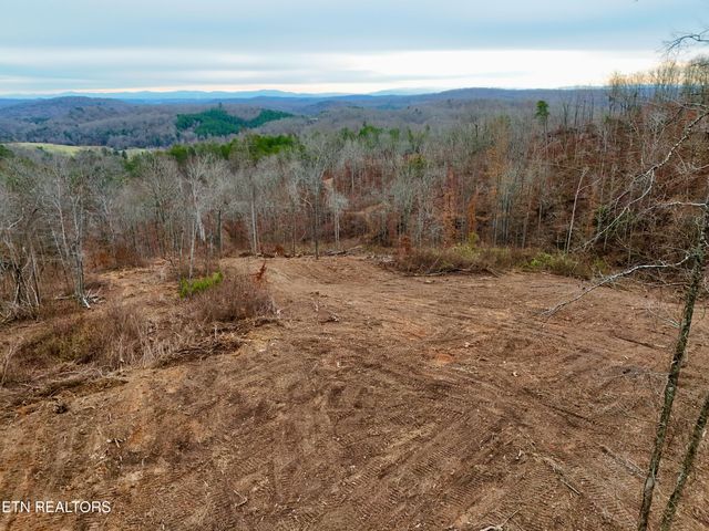 Laurel Bluff Rd, Kingston, TN 37763
