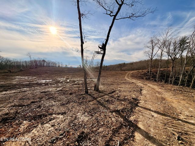 Laurel Bluff Rd, Kingston, TN 37763