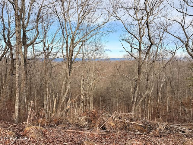 Laurel Bluff Rd, Kingston, TN 37763