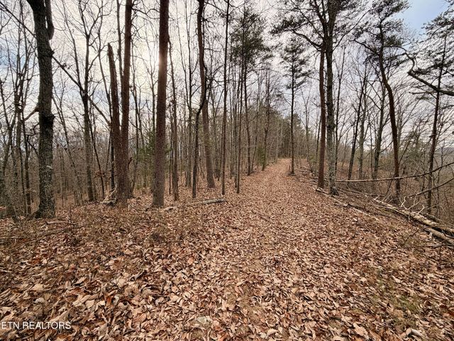 Laurel Bluff Rd, Kingston, TN 37763
