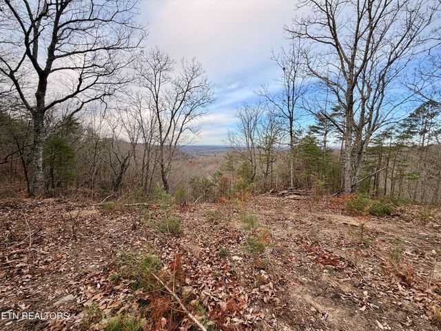 Laurel Bluff Rd, Kingston, TN 37763