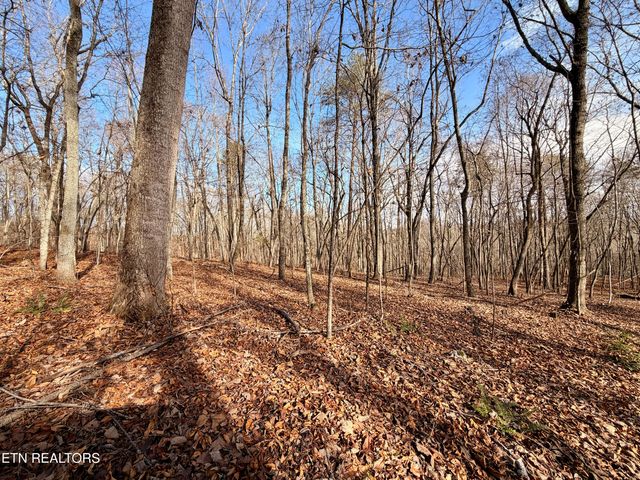 Laurel Bluff Rd, Kingston, TN 37763