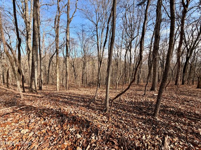 Laurel Bluff Rd, Kingston, TN 37763