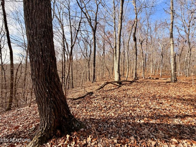 Laurel Bluff Rd, Kingston, TN 37763