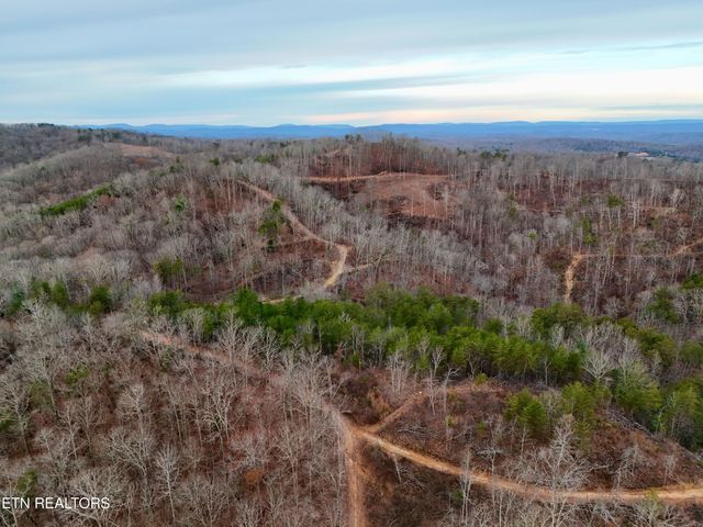 Laurel Bluff Rd, Kingston, TN 37763