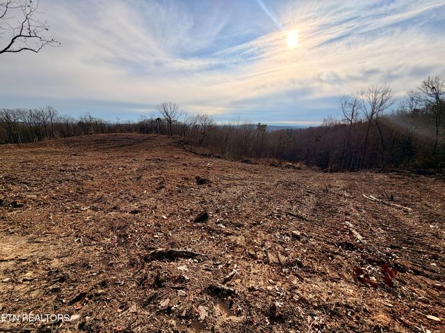 Laurel Bluff Rd, Kingston, TN 37763