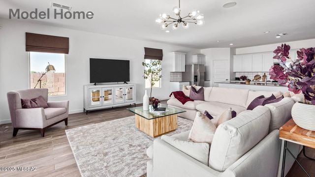 461 W Camino Del Toro, Vail, AZ 85641