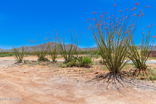 461 W Camino Del Toro, Vail, AZ 85641