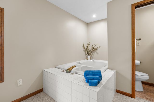 22100 N Uldriks Drive, Bedford Twp, MI 49017