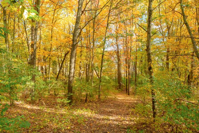 22100 N Uldriks Drive, Bedford Twp, MI 49017