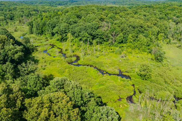 22100 N Uldriks Drive, Bedford Twp, MI 49017