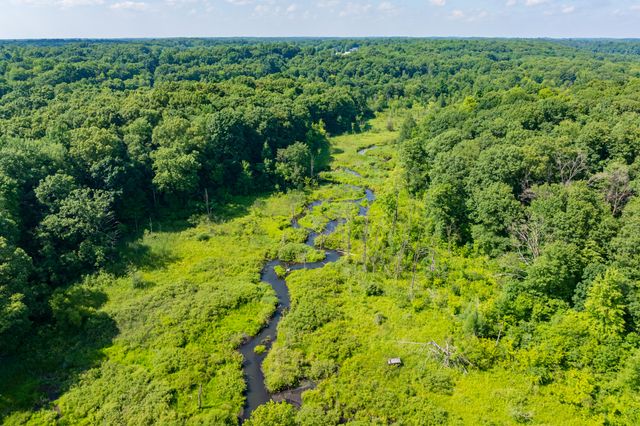 22100 N Uldriks Drive, Bedford Twp, MI 49017