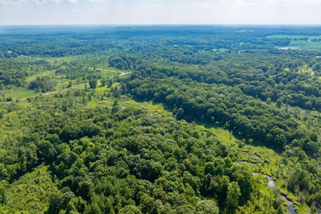 22100 N Uldriks Drive, Bedford Twp, MI 49017