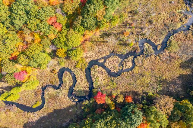 22100 N Uldriks Drive, Bedford Twp, MI 49017