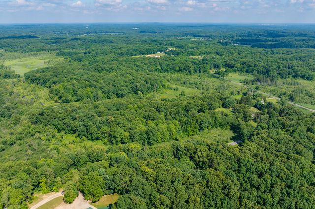 22100 N Uldriks Drive, Bedford Twp, MI 49017