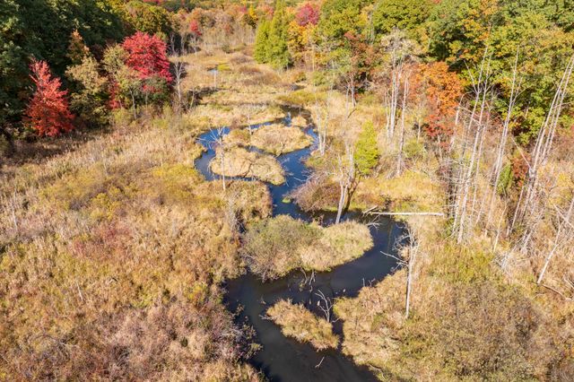 22100 N Uldriks Drive, Bedford Twp, MI 49017