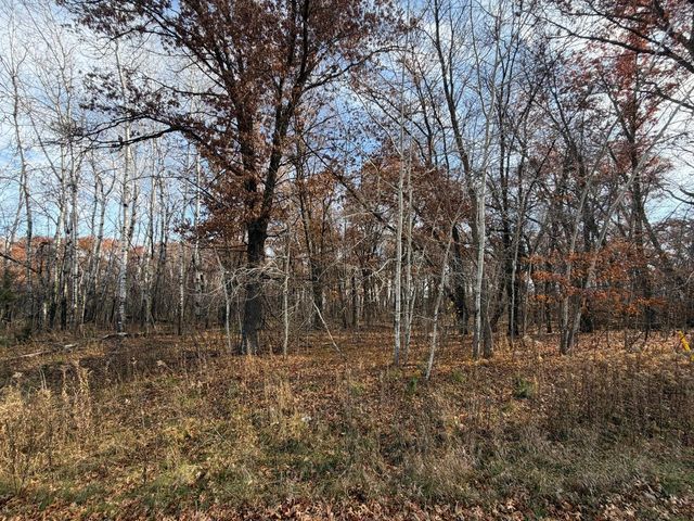 XXXX Xerus Street NW, Zimmerman, MN 55398