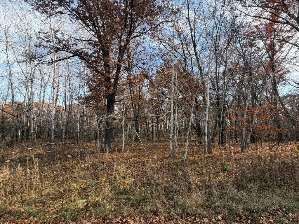 XXXX Xerus Street NW, Zimmerman, MN 55398 — photo 2