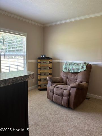 281 S Blizzard Town Road, Beulaville, NC 28518