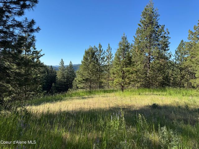 NKA(Lot 2) S Reynolds Rd, Coeur d'Alene, ID 83815 property photo