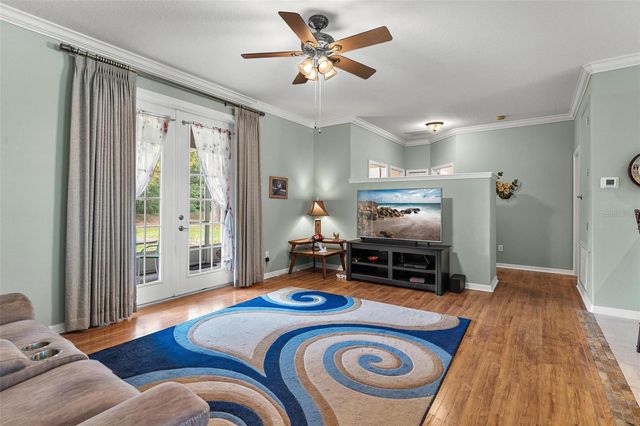 36403 GRAND ISLAND OAKS CIRCLE, Grand Island, FL 32735