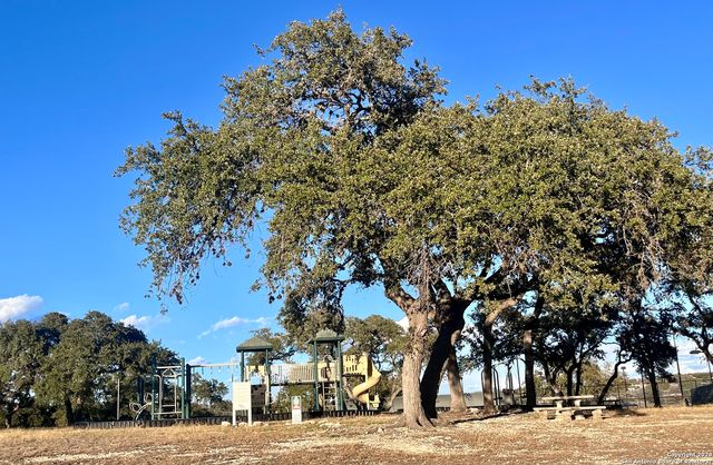 128 MILFOIL LN, Spring Branch, TX 78070