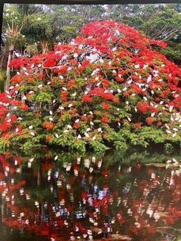 5380 Cedar Lake Drive 102, Boynton Beach, FL 33437