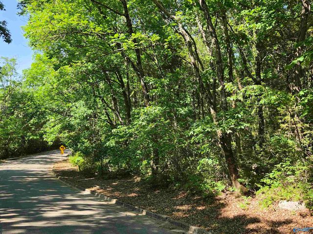 Lot 28 Pikes Peak Drive, Huntsville, AL 35803