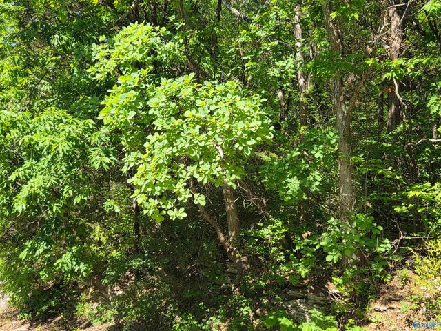 Lot 28 Pikes Peak Drive, Huntsville, AL 35803