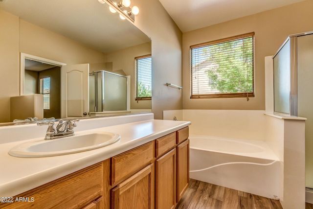 12024 W LOUISE Court, Sun City, AZ 85373