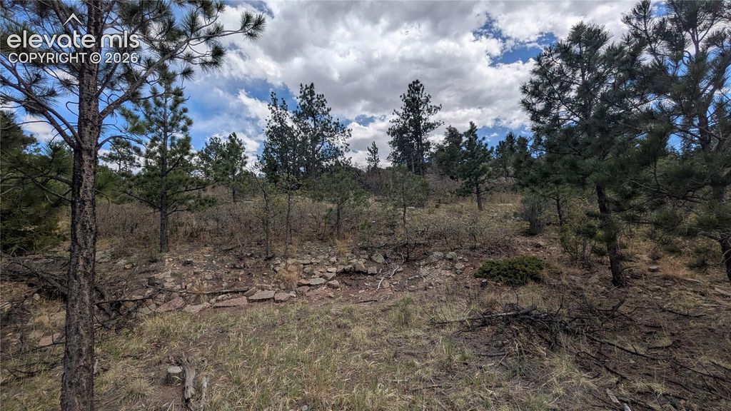 1245 Glenrock Drive, Colorado Springs, CO 80926 — photo 3