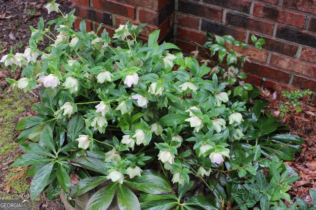 1150 Harris Hollis Lane, Rutledge, GA 30663