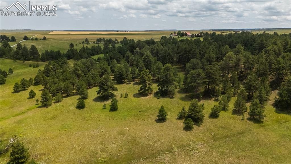 11771 E Smith Road, Elbert, CO 80106 — photo 2