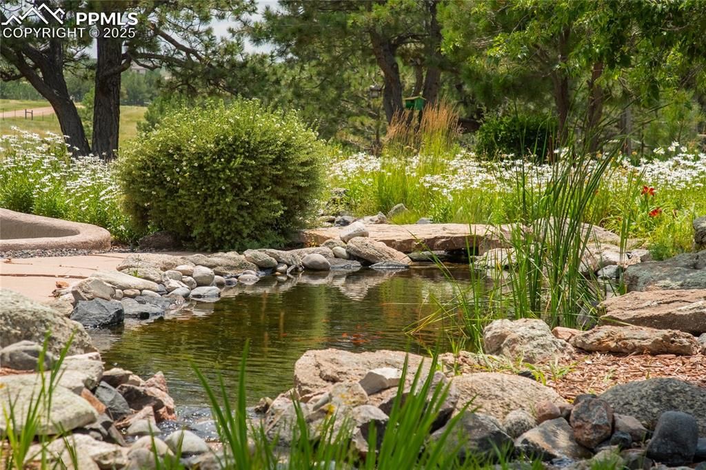 11771 E Smith Road, Elbert, CO 80106 — photo 4