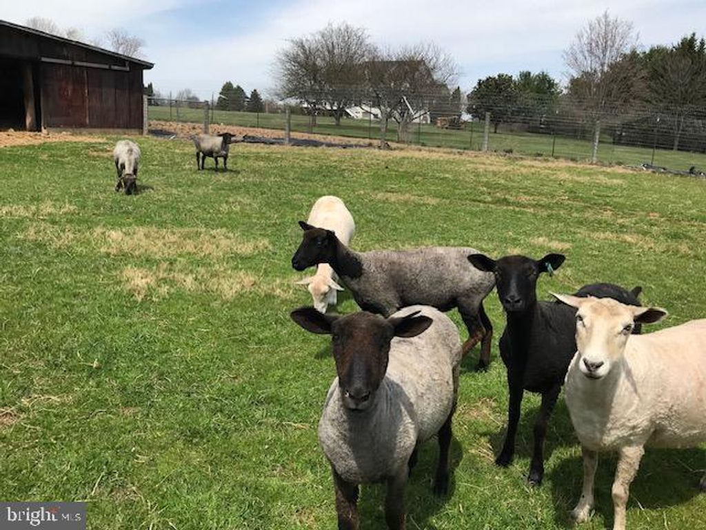 Image 4 of property listing at 21901 NEW HAMPSHIRE AVE, Brookeville, MD 20833