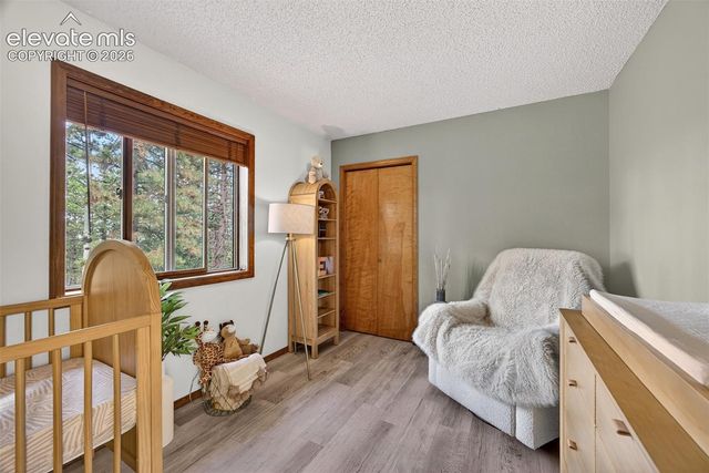 1340 Forest Edge Road, Woodland Park, CO 80863