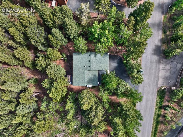 1340 Forest Edge Road, Woodland Park, CO 80863