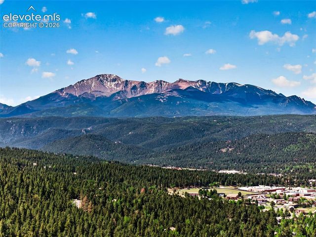 1340 Forest Edge Road, Woodland Park, CO 80863